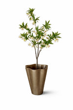 Blossom Indoor Flowering Tree