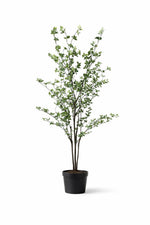 Bryn Indoor Foliage Tree