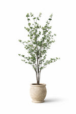 Bryn Indoor Foliage Tree