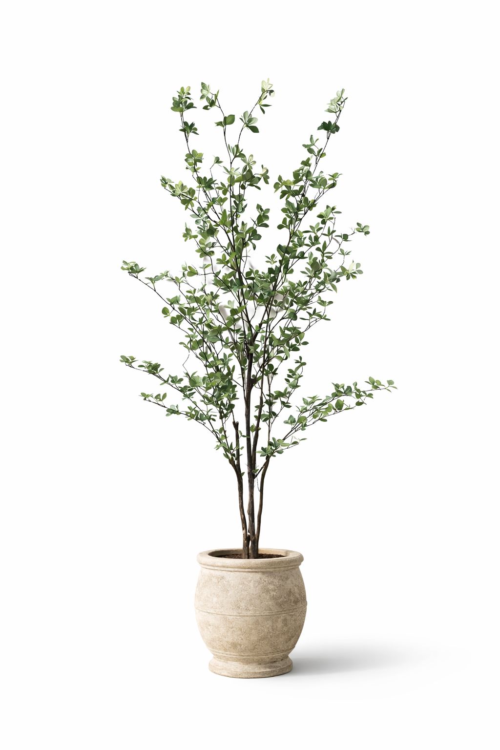 Bryn Indoor Foliage Tree