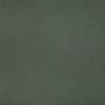 Solid dark green color swatch