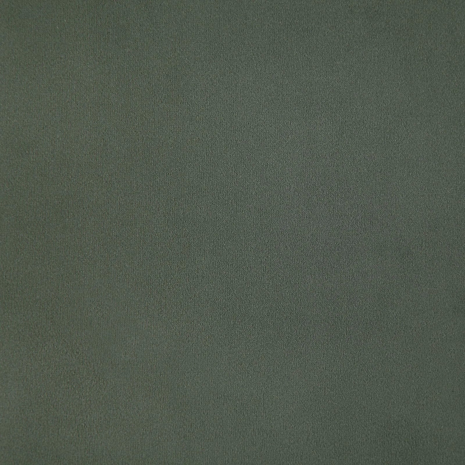 Solid dark green color swatch