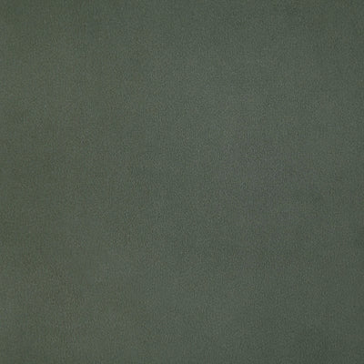 Solid dark green color swatch