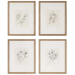Four framed botanical illustrations on a white background