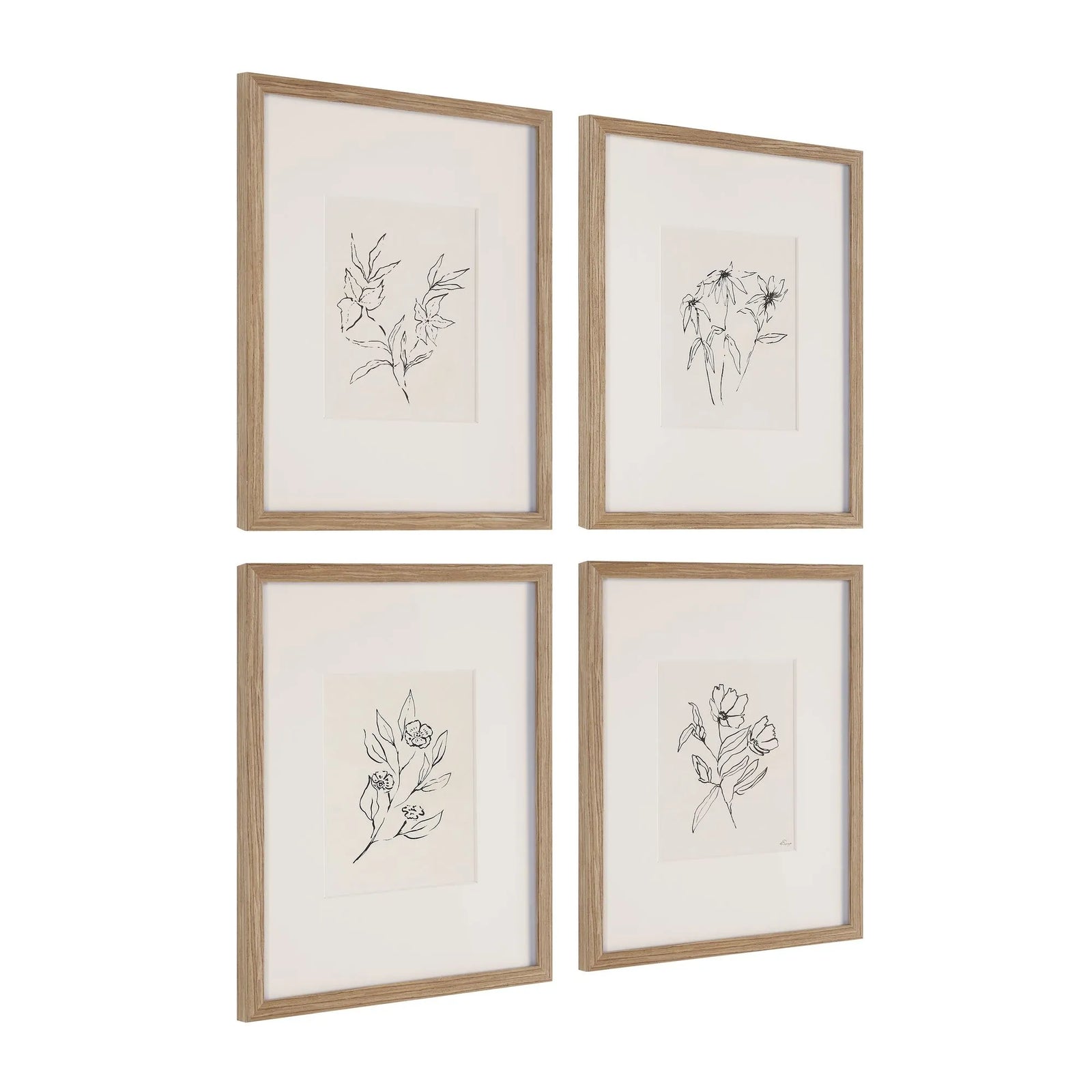 Four framed botanical illustrations on a white background