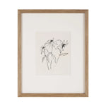 Framed line drawing of a plant on a white background