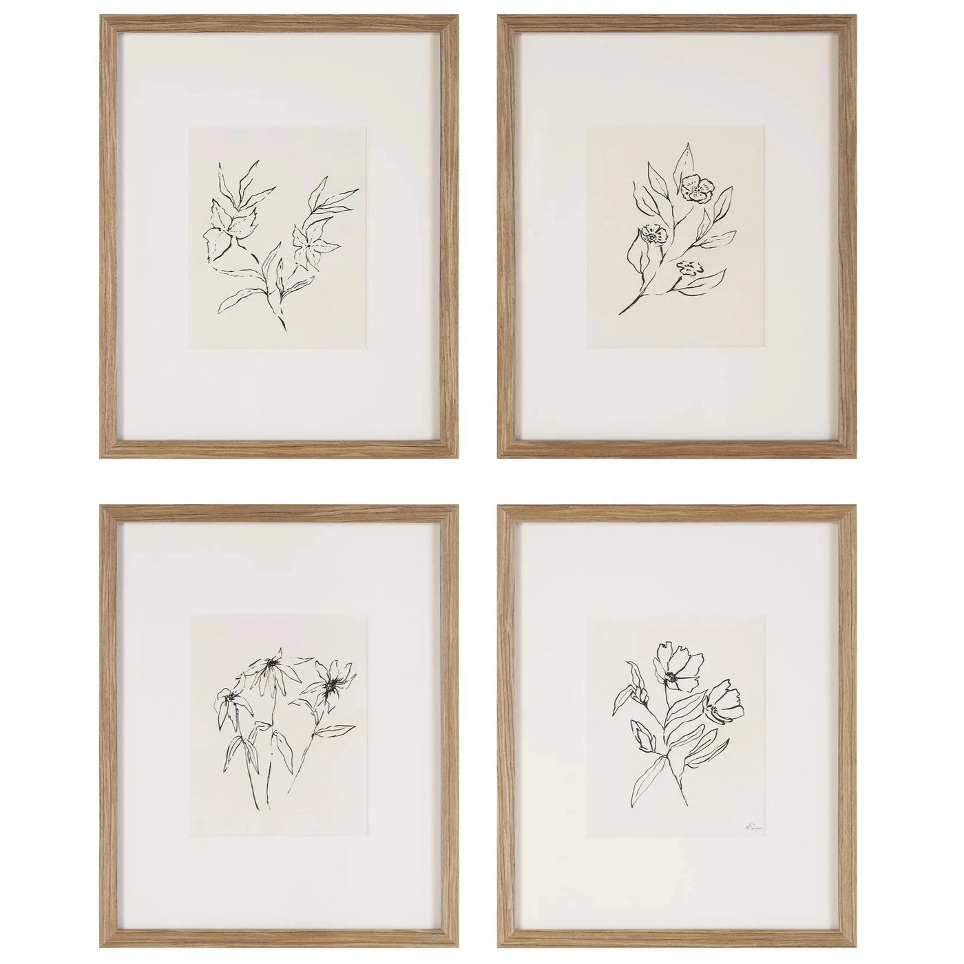 Four framed botanical illustrations on a white background