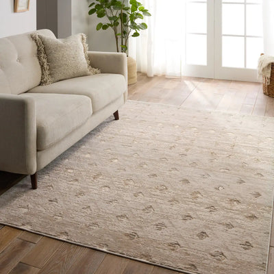 Living room with a beige sofa and textured area rug on wooden floor.