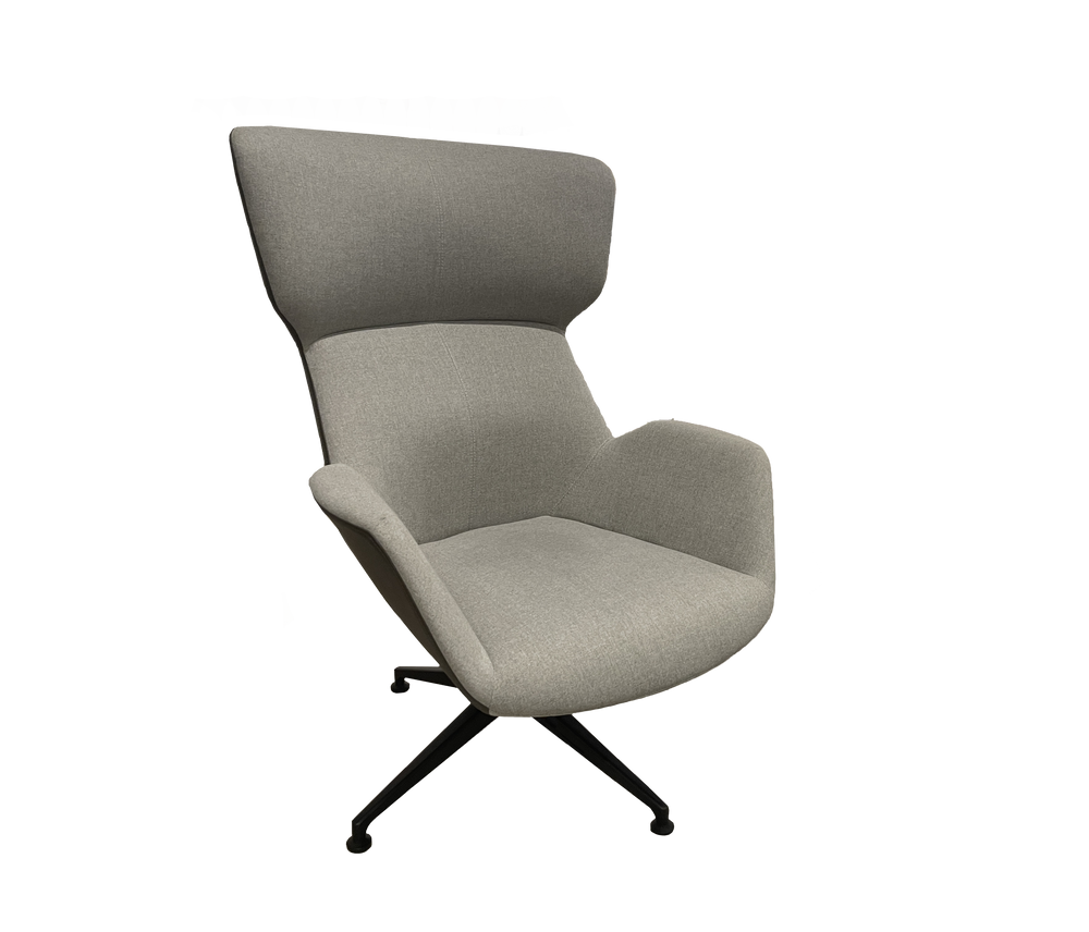 David Lounge Chair