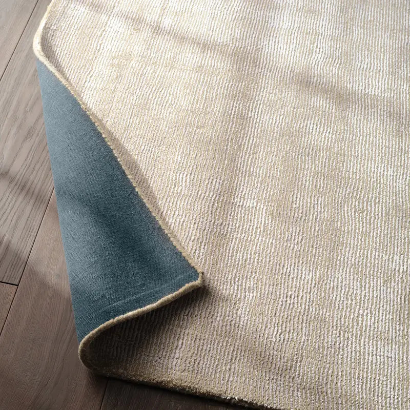 Close-up of a beige rug with a blue border on a wooden floor.
