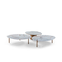 Set of three marble coffee tables with bronze legs on a white background