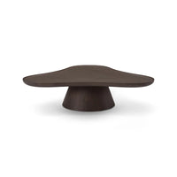 Modern dark wood coffee table on a white background