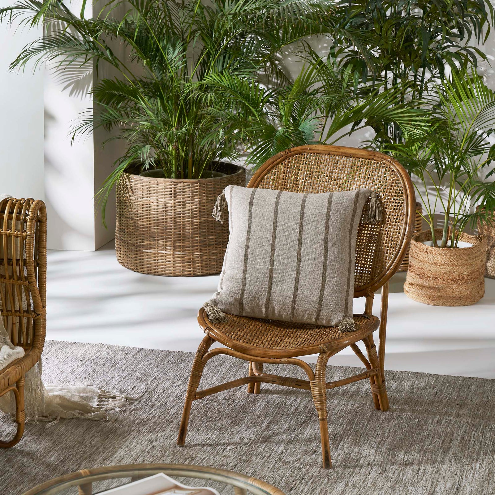 Wicker chair with a striped pillow in a room with plants