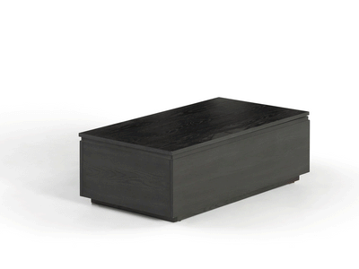 Transformer Coffee Table - Panel Storage