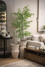 Terracotta Sculpted Planter