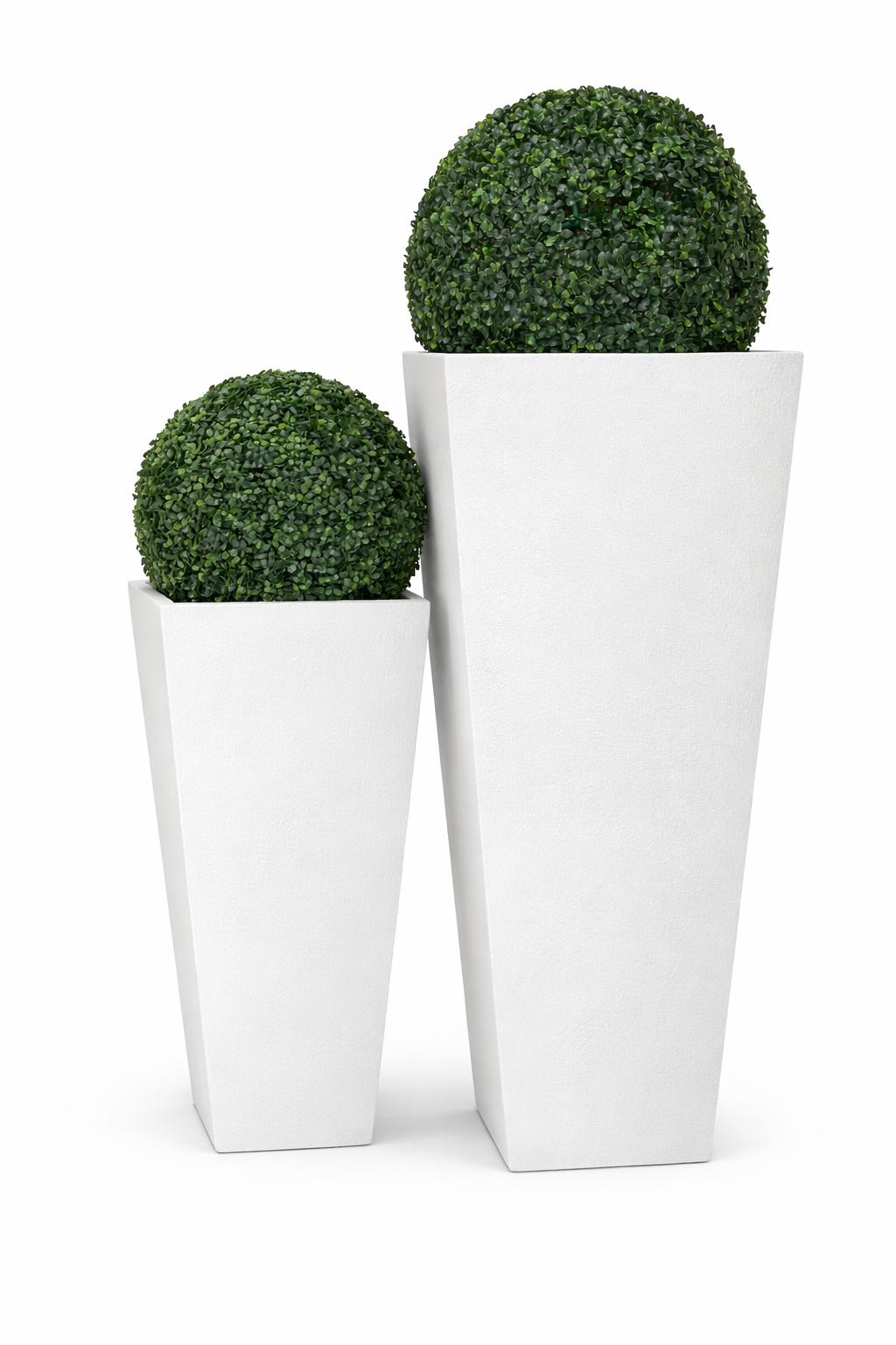 Two green spherical plants in white cylindrical pots on a white background