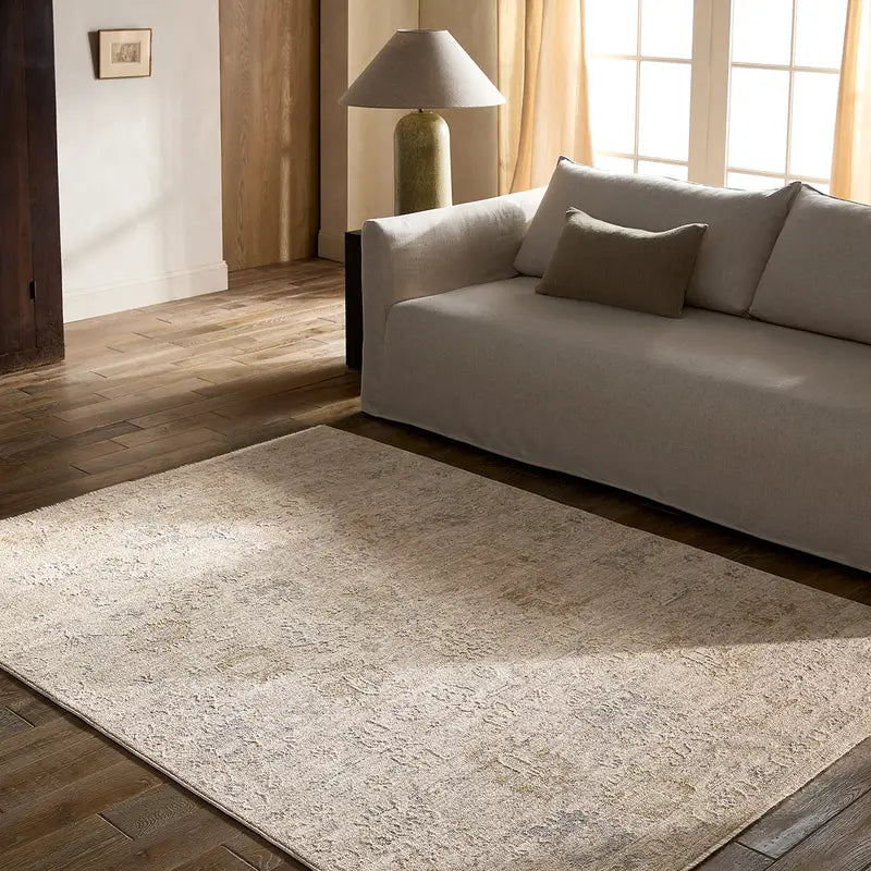 Living room with a beige sofa, lamp, and rug.