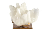 A white, ocean-inspired coral tabletop decor piece with delicate ridges and a freeform shape, mounted on a square base.
