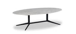 Courtney Marble Oval Coffee table