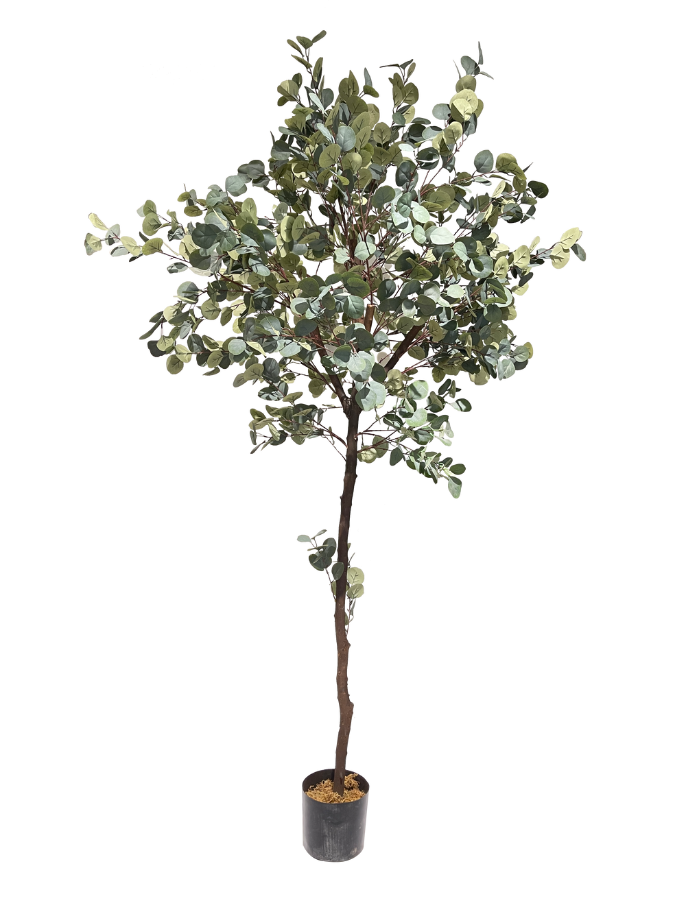 An artificial Eucalyptus plant with dense foliage in a pot, suitable for indoor use.