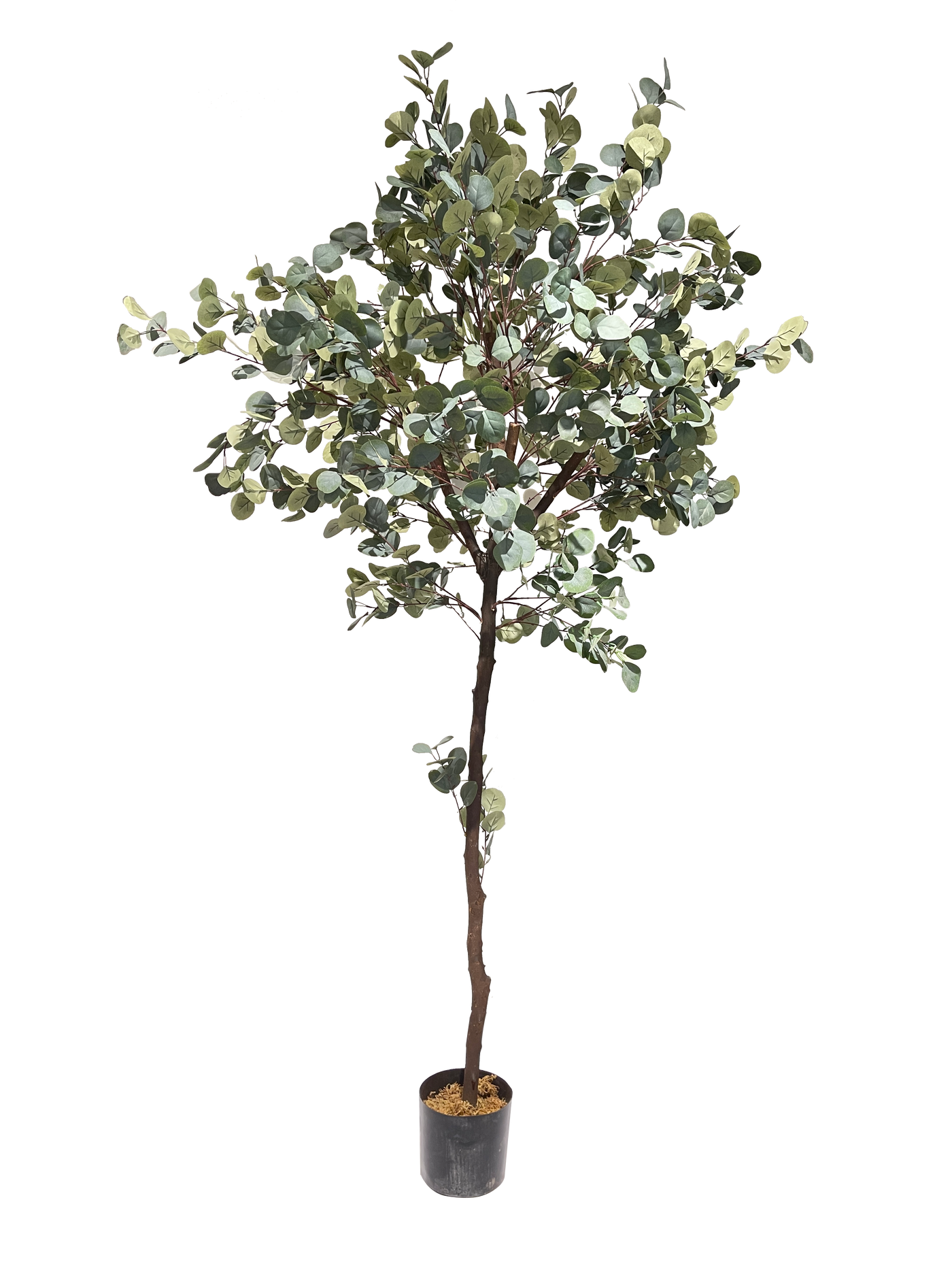 An artificial Eucalyptus plant with dense foliage in a pot, suitable for indoor use.