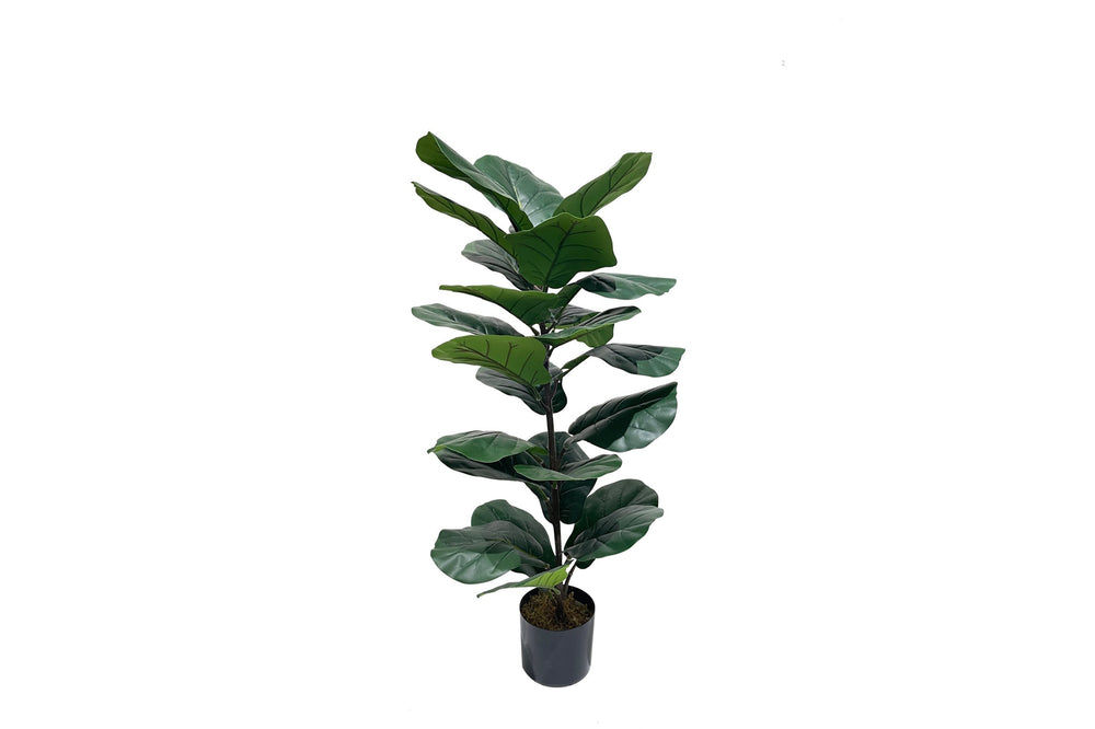 An artificial plant with a white background 