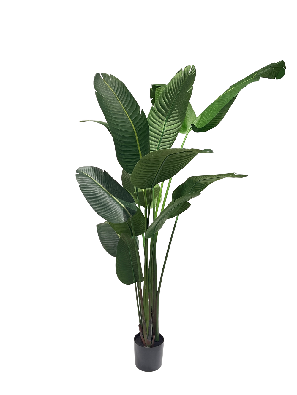 An artificial banana plant with green leaves in a black pot.